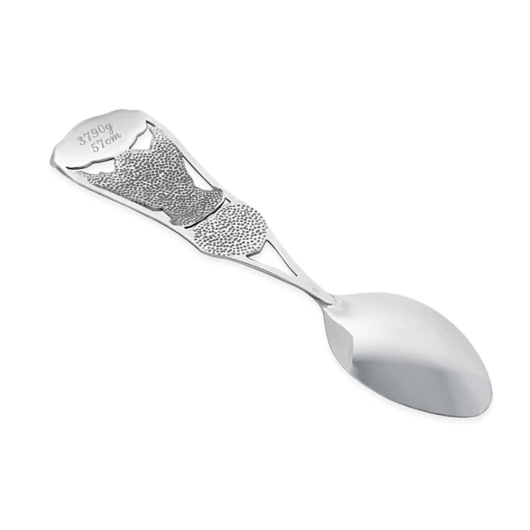 Srebrna łyżeczka z grawerem danych urodzeniowych dziecka