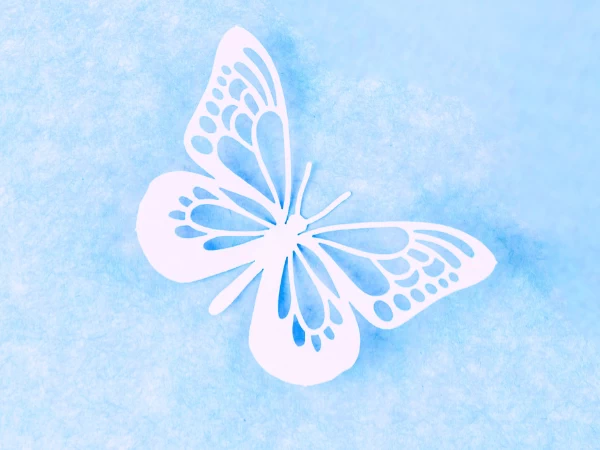 Symbolika w biżuterii - motyl
